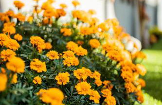 VYBE Matosinhos Centro - Foto 30