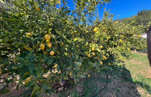 Apartments SUHO Komiza - Photo 46