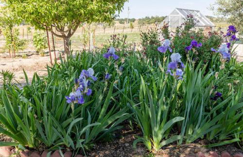 Serene Vineyard•Deck, Pickleball, Views~ Near Town - Foto 36