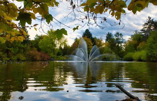 Amstadt's Birkenfels - Photo 16