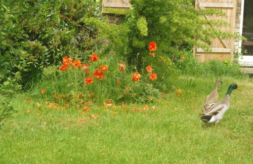 Gutshaus Buberow - Haupthaus - für Seminare & Gruppen - Foto 6