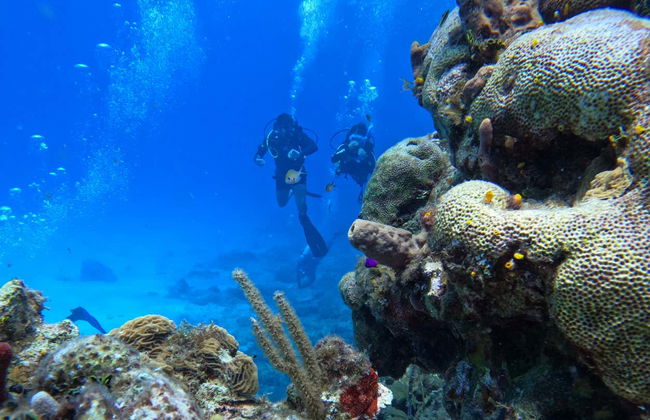 PADI Open Water Diving Course - Foto 7