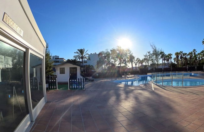 Palmeras Garden - Foto 2