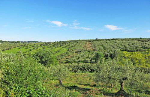 Holiday Home Il Noceto by Interhome - Photo 64