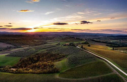 The Optimist's House - Foto 17