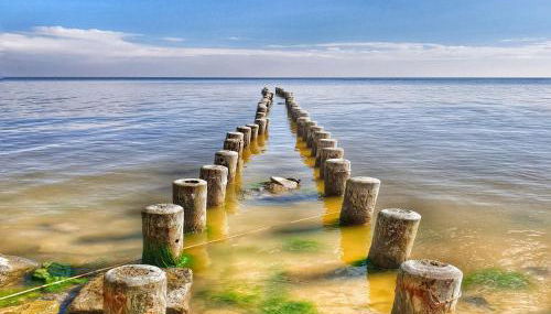 Unterkunft in Mönkebude mit eigenem Garten - Foto 5