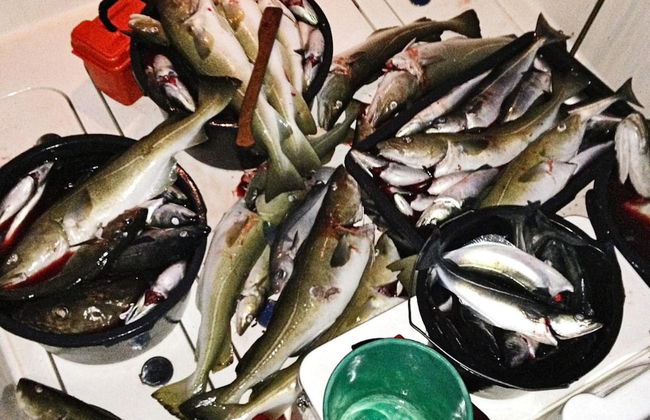 7 Person Holiday Home in Breivikbotn - Foto 12