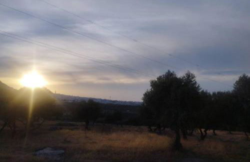 Casa Rural El Olivar - Photo 6