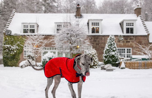 The Stables Cottage Aboyne Royal Deeside - Photo 40
