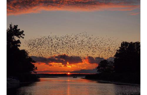 Apartamenty i Domki Osińscy - Foto 65