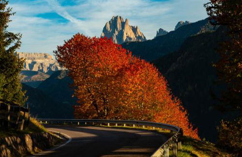 Appartment Kircherhof - Photo 40