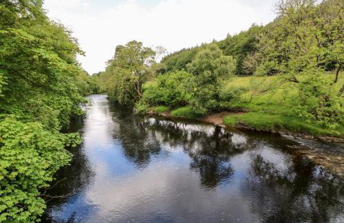 Meadows Edge - Photo 30