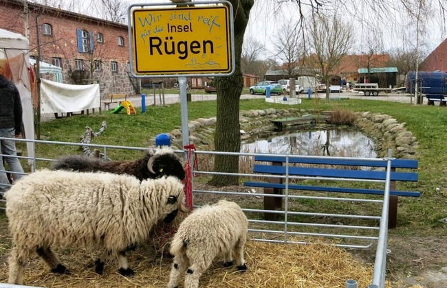 Beach Apartment With sea Views - Photo 22