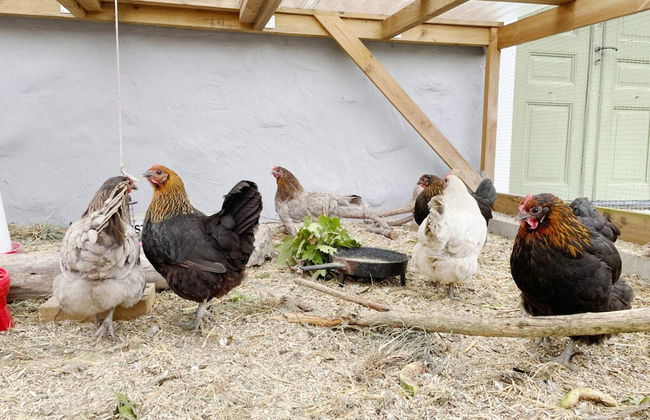 4 Star Holiday Home in Mellosa-by Traum - Foto 61