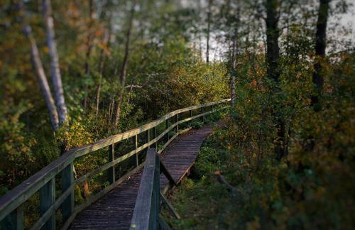 SZUMI ROSA - Foto 80