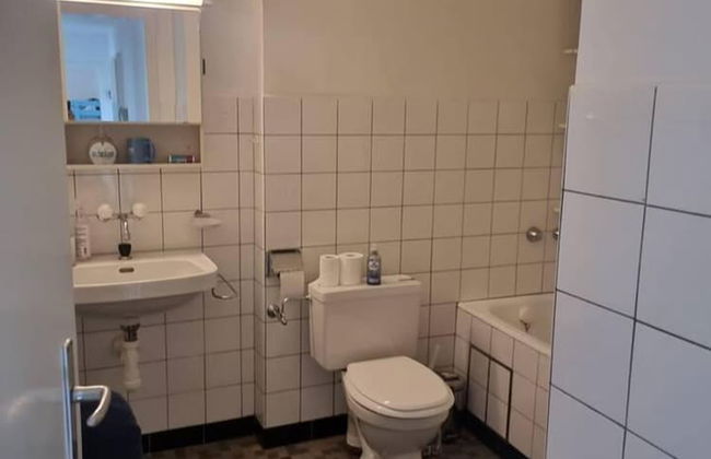 Stunning 3-bed Apartment in Basel - Foto 31