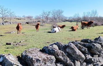 Apartamentos Ca' tio Celso - Foto 57