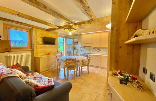 Casa Clus Bormio apartments 2 - Photo 44