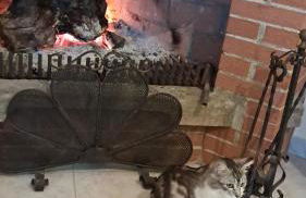 Puccio's Little House - Foto 8