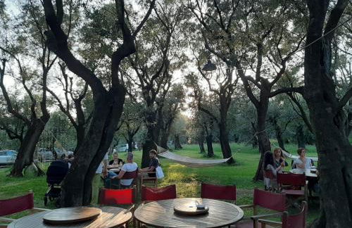 Antico Uliveto - Foto 6