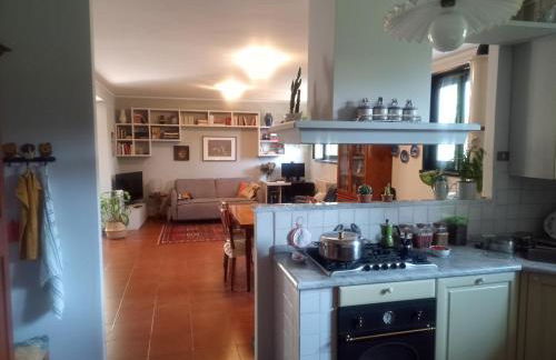 Profumo di pane - Traversetolo - Foto 5