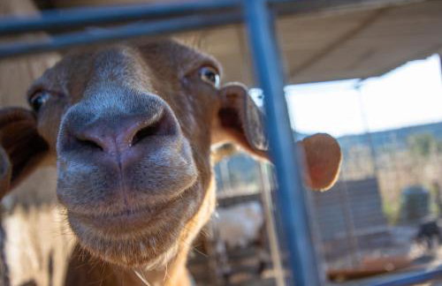 Secret Garden, a little paradise of tranquility. - Photo 25