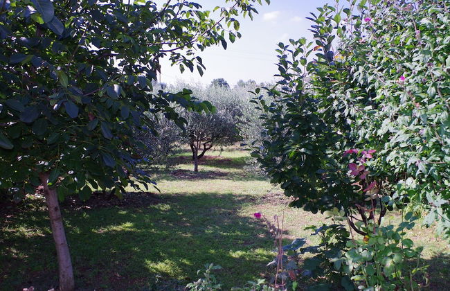 Country House in Rakalj With Scenic Sea Views - Foto 13