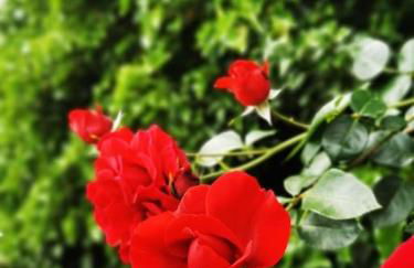 Auszeit im Seenland - Foto 24