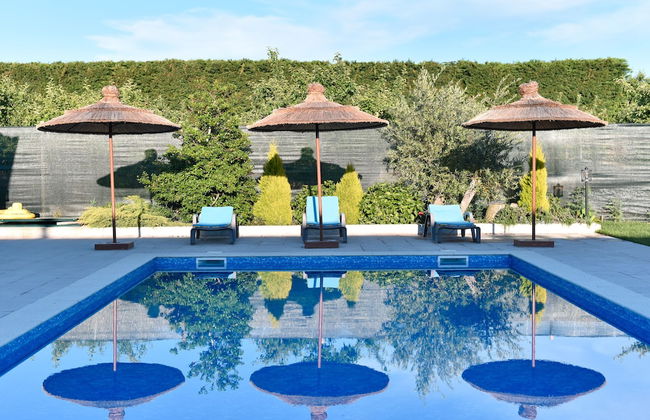 Feel Discovery Maçã Douro - Foto 9