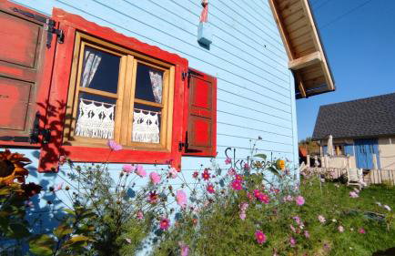 Skotopaska & Bukolika - Foto 31