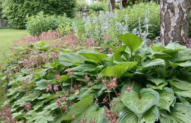 Alfseeglück - Foto 25