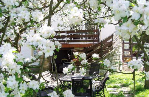 Ferienwohnung Obermühle - Photo 16