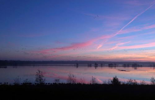 Apartment Geltinger Birk by Interhome - Foto 34