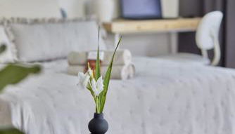 Imma - im idyllischen Walldürn-Glashofen - Photo 3