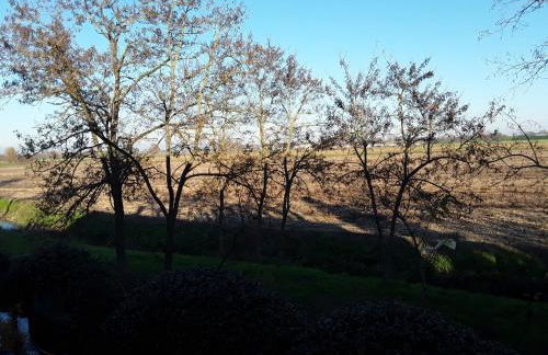 Casa MoSa - Photo 46