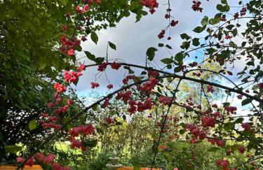 Place to beee - Foto 21