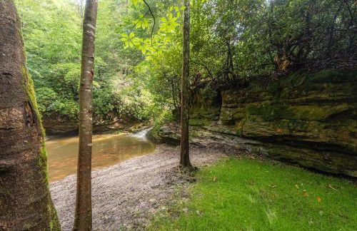 Beauty Mountain Hideaway - Secluded - New River Gorge National Park - Foto 44