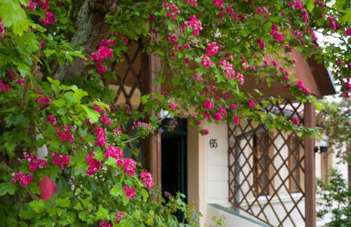 Zagroda Chłopska - Foto 5