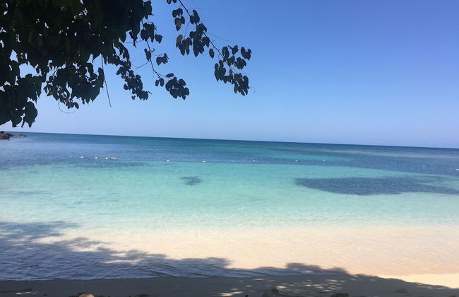 Idyllic Duplex with Ocean - Photo 10