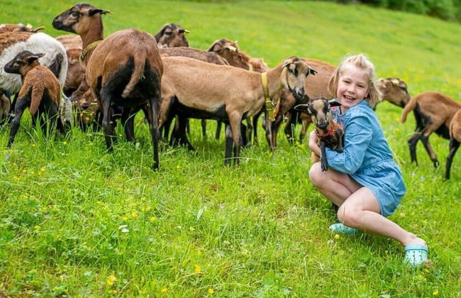 Infanglalm "traunsee" - Foto 34