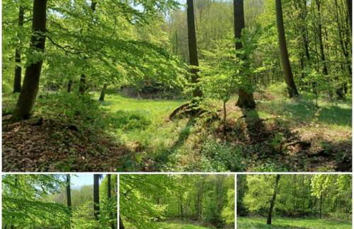 Ferienwohnung am Sendberg - Foto 45