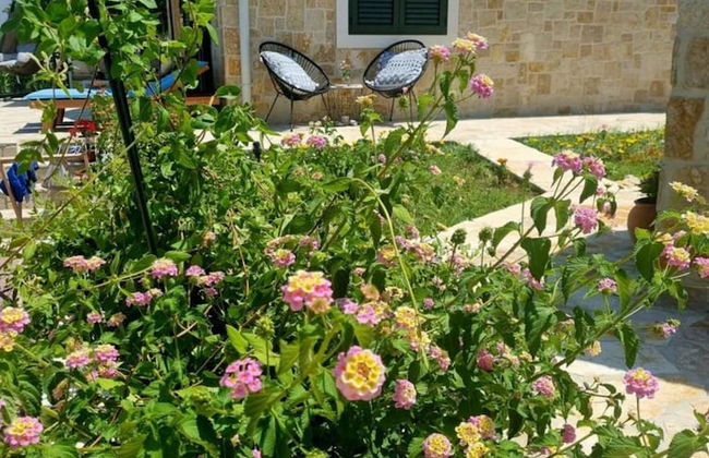 Beach House Calendula - Foto 35