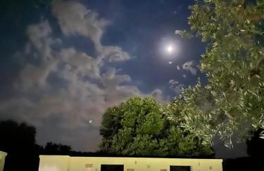 Trullo Canonico - Foto 4