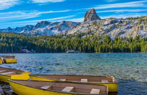 Mammoth Green 219 - Foto 47