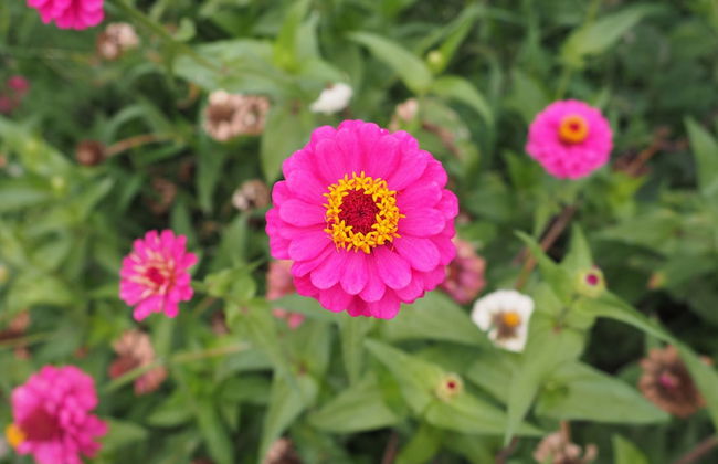 L'Era de Cal Roger - Photo 40