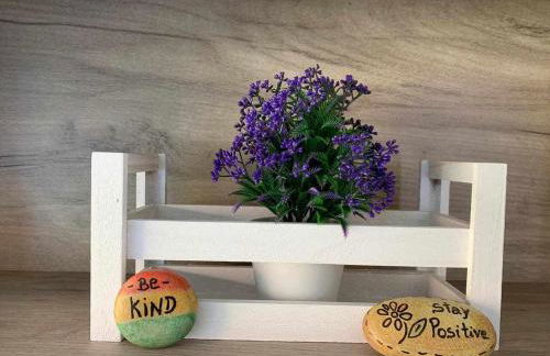 Viana do Castelo - Amonde Village Casa P - Conforto Qualidade Natureza - Foto 22