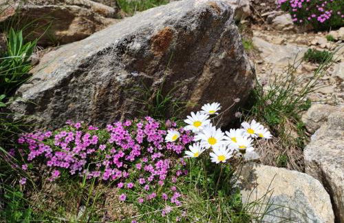 Agritur Belsogno B&B - Foto 96