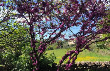 Gîte des pins - Foto 18