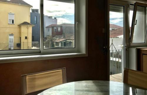 Estrelícia - Foto 10