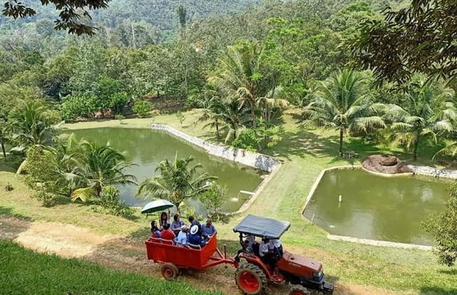 Tanah Aina Farouq - Foto 21